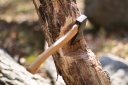 «Черный» лесоруб в Вичугском районе напилил деревьев на 185 тысяч рублей