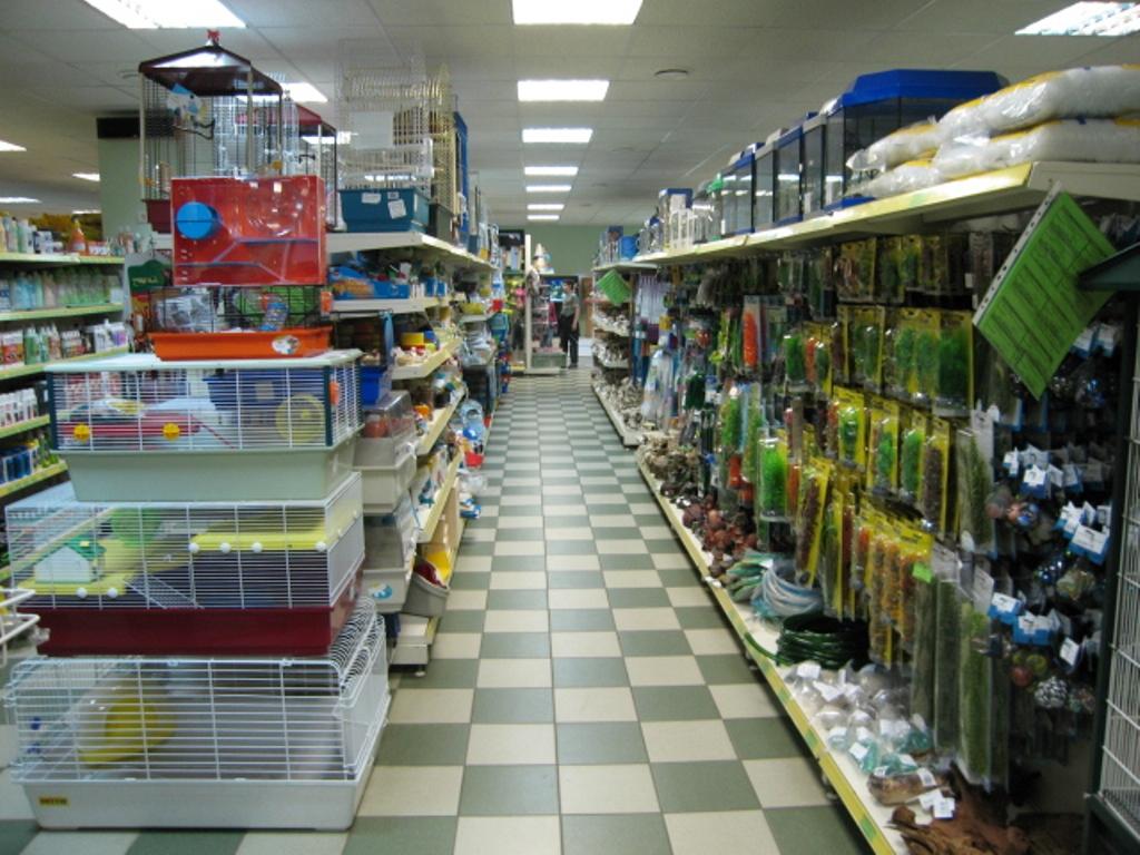 Магазин Животных В Новосибирске Магазин Животных В Новосибирске