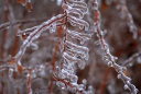 В Ивановской области прогнозируют «ледяной» дождь
