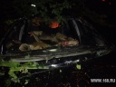 Ночное ДТП в Ивановской области: от удара лось буквально влетел в салон автомобиля (ФОТО 18+)