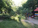 На одной из детских площадок Иванова дерево упало на ребенка