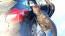 В Гаврилово-Посадском районе из припаркованного автомобиля похитили имущество
