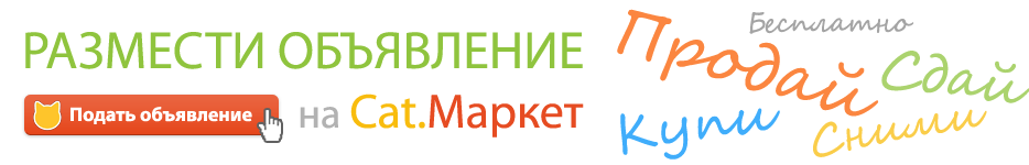 Cat.Маркет