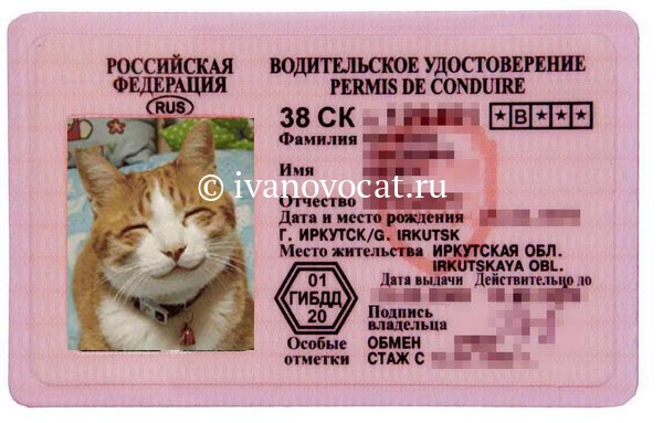 Поздравления при получение водительских прав Поздравления при получение водительских прав