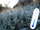 В ближайшие дни в Ивановской области ожидаются ночные заморозки