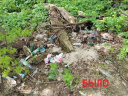 Варгинский овраг в Иванове очистили от мусора (ФОТО)