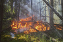 В Ивановской области лесные пожары не создают угрозы перехода огня на территории населенных пунктов