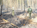 В Ивановской области ликвидированы лесные пожары