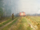 16 специалистов боролись с лесным пожаром в Ивановской области