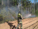 Огнеборцы выезжали на лесной пожар в Ивановской области