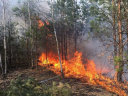 В Ивановской области выявили лесной пожар