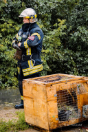 Из горящего дома в Иванове пожарные спасали мужчину и кроликов (ФОТО)