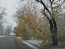Дорожные службы Ивановской области заявили о готовности к зимнему сезону