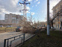 Ветер 3 апреля обрушился на Иваново (ФОТО)