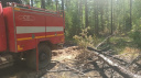 Почти сутки тушат лесной пожар в Ивановской области (ФОТО)