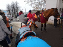 Собственники лошадей в Иванове незаконно использовали труд несовершеннолетних? (ФОТО)