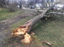 Шквалистый ветер набедокурил в Ивановской области