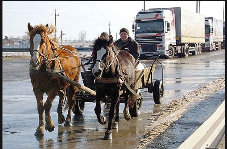 Фото гужевой повозки с лошадью