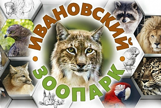 Летний режим в ивановском зоопарке