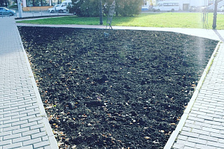 В областном центре готовят клумбы к зиме