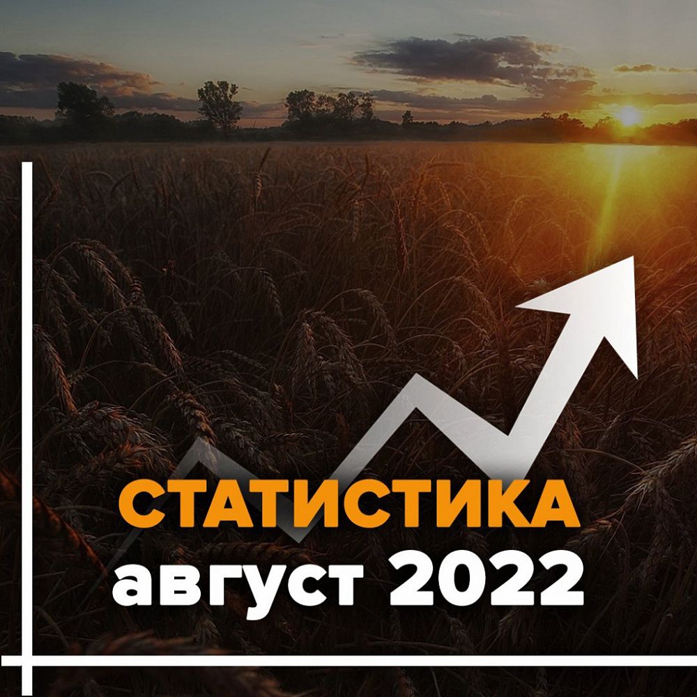 Статистика поиска за август. Ивановская область