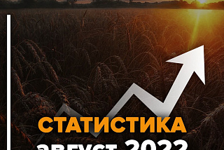 Статистика поиска за август. Ивановская область