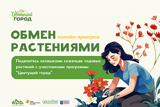 В Иванове стартовала благотворительная онлайн-ярмарка растений