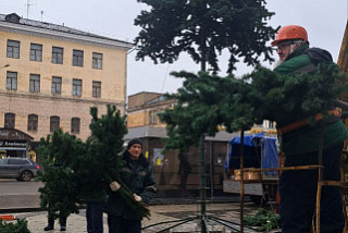 Над одной из площадей Иванова вознеслась новогодняя ель (ФОТО)
