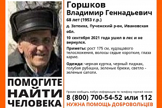 Продолжается поиск грибника из Пучежского района (ФОТО)