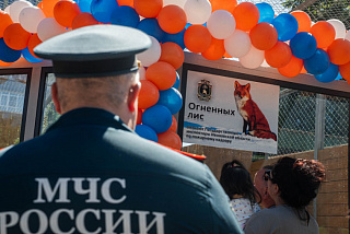 Семейство огненных лис отметило новоселье в Ивановском зоопарке