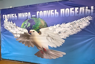 «Голубь Мира - Голубь Победы» - Всероссийская акция в Иванове (ФОТО)