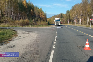 В Пучежском районе под колесами большегруза погиб пешеход (ФОТО)