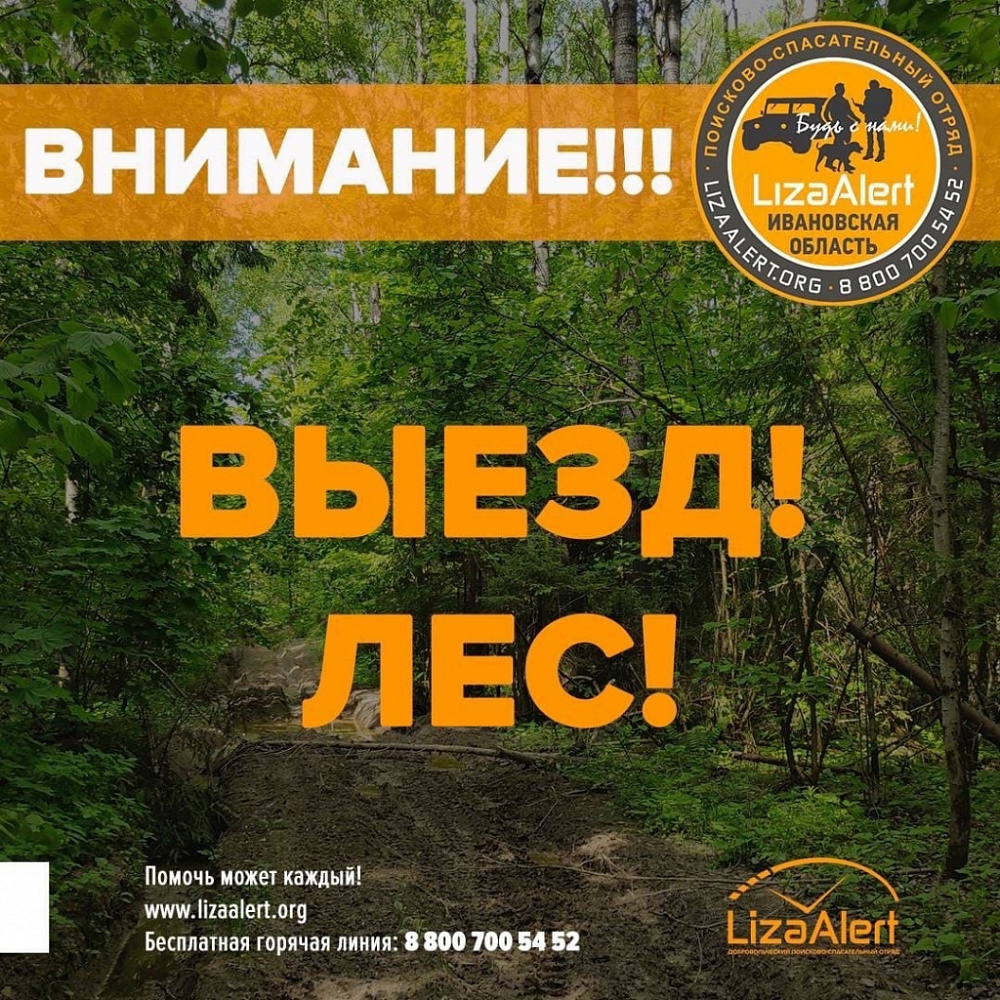 Ивановские грибники ловят последние дни тихой охоты и теряются в лесах (ФОТО)