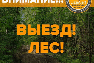 Ивановские грибники ловят последние дни тихой охоты и теряются в лесах (ФОТО)