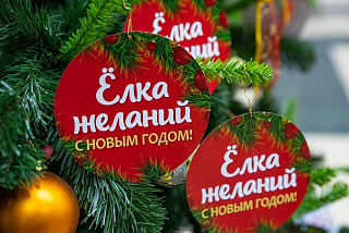 «Елка желаний» в Ивановской области (ВИДЕО)