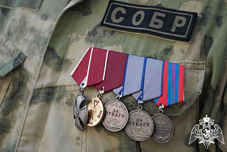 Отличившимся росгвардейцам вручили госнаграды (ФОТО)