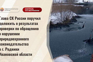 Проводится проверка информации о нарушении природоохранного законодательства в Родниках