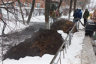 Возбуждено уголовное дело по факту травмирования южских школьников (ВИДЕО)