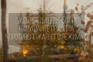 В Ивановской области ввели особый противопожарный режим (ФОТО)