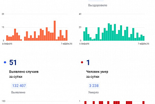 51 ковид диагноз поставили 7 февраля в Ивановской области