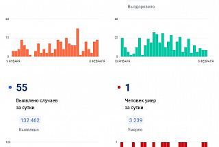 55 ковид диагнозов поставили на 8 февраля в Ивановской области