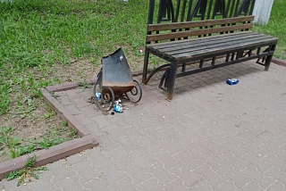 В Фурманове центральная аллея подверглась «нападению» (ФОТО)