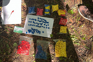 В Ивановской области перекрыт канал поставки наркотических средств (ФОТО)