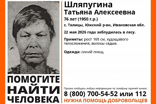 Погибла \ В Южском районе пожилая женщина заблудилась в лесу   