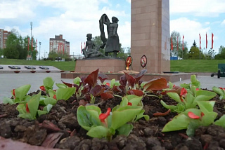 В Иванове зацветут 58 клумб