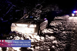 В Палехском районе автомобиль наехал на лося (ФОТО)