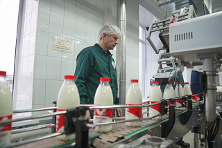 Молокозавод из Иванова в 2025 году наладил стабильный выпуск 13 новых видов продукции   