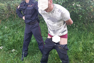 В Родниках задержан подозреваемый в совершении насилия над 9-летней девочкой (ФОТО)