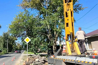 В Иванове продолжили работы по сносу аварийных деревьев