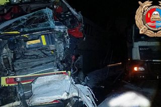 В Пестяковском районе в ДТП погиб один из автомобилистов
